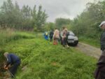 болото Кременеччина