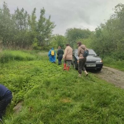 болото Кременеччина