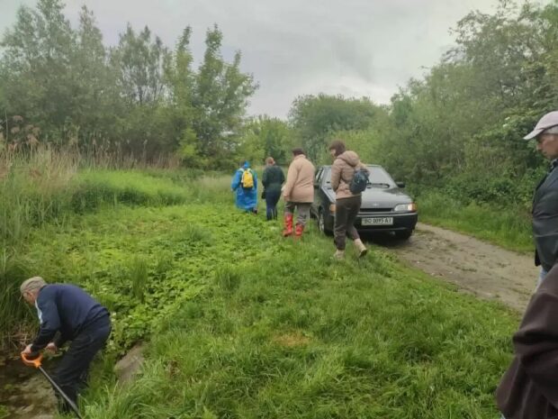 болото Кременеччина