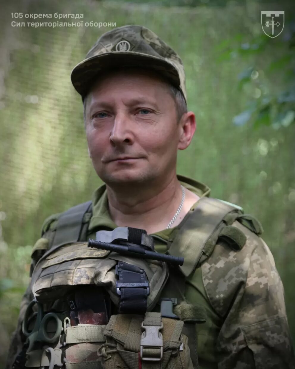 Шмель