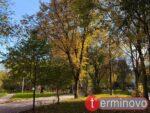 тернопіль