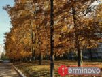 тернопіль